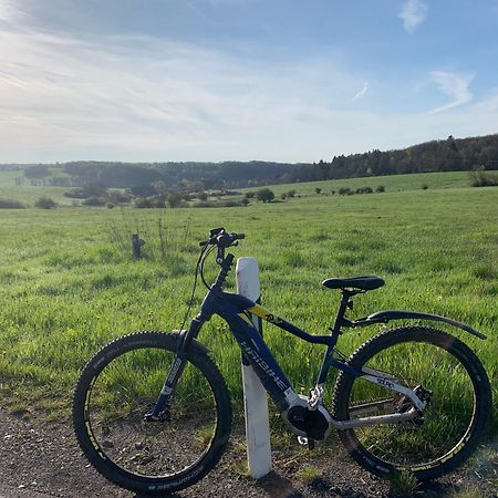 Ferienhaus Eifelstuben Mit Charme - Bauernstube Vulkaneifel - Naehe See Und Burgruine Ulmen Eksteriør bilde