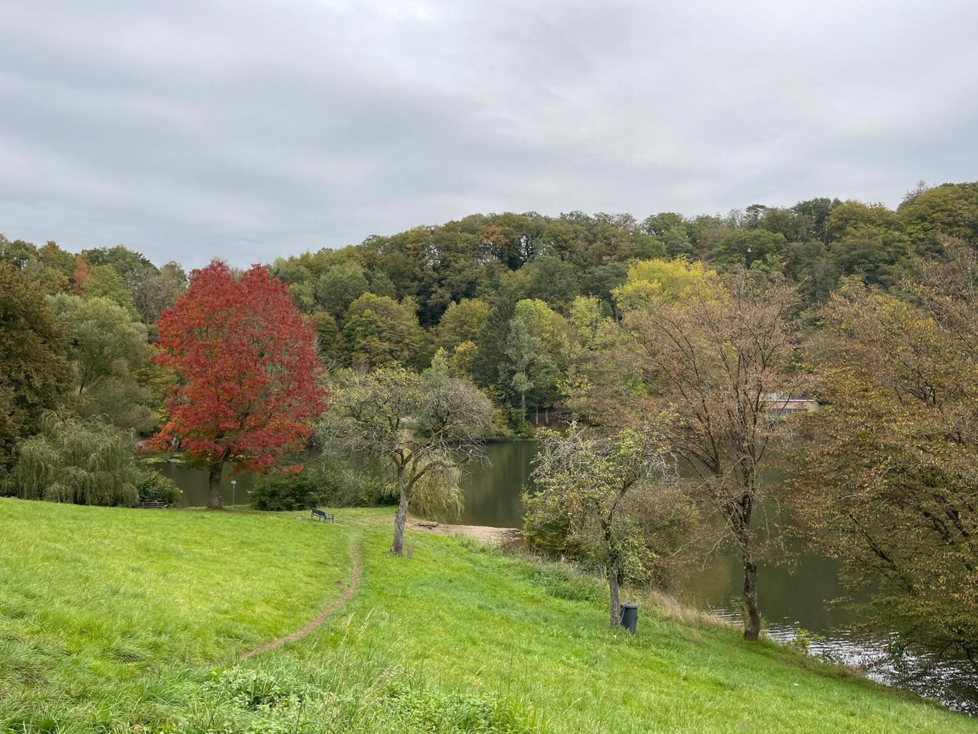 Ferienhaus Eifelstuben Mit Charme - Bauernstube Vulkaneifel - Naehe See Und Burgruine Ulmen Eksteriør bilde
