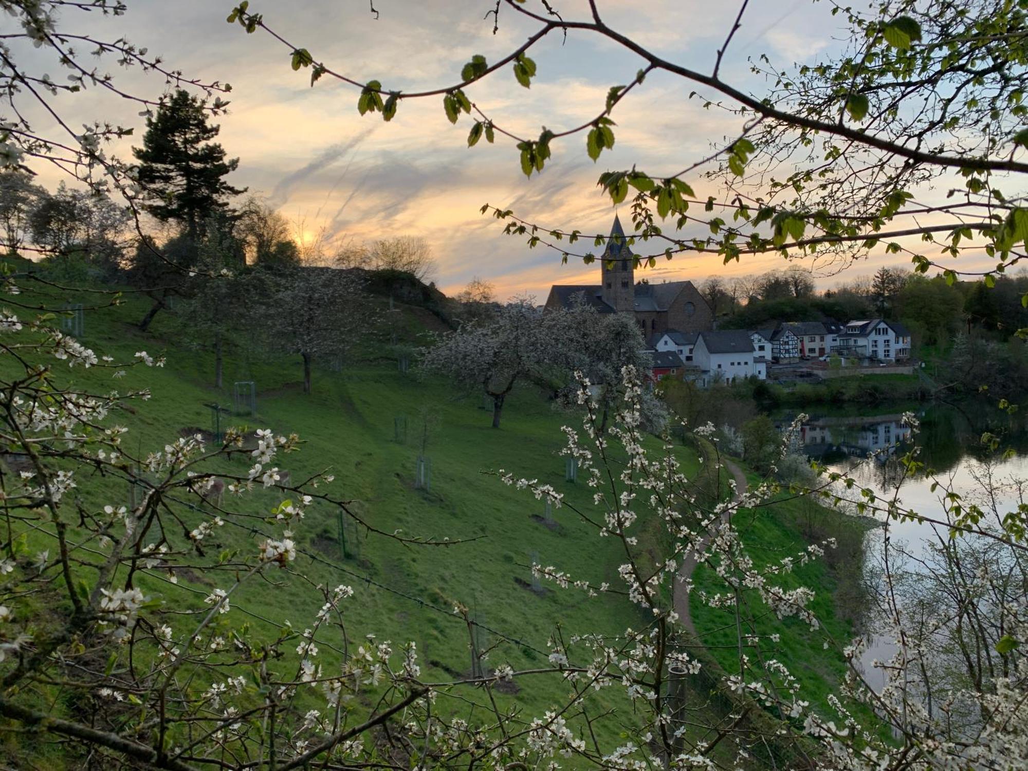Ferienhaus Eifelstuben Mit Charme - Bauernstube Vulkaneifel - Naehe See Und Burgruine Ulmen Eksteriør bilde